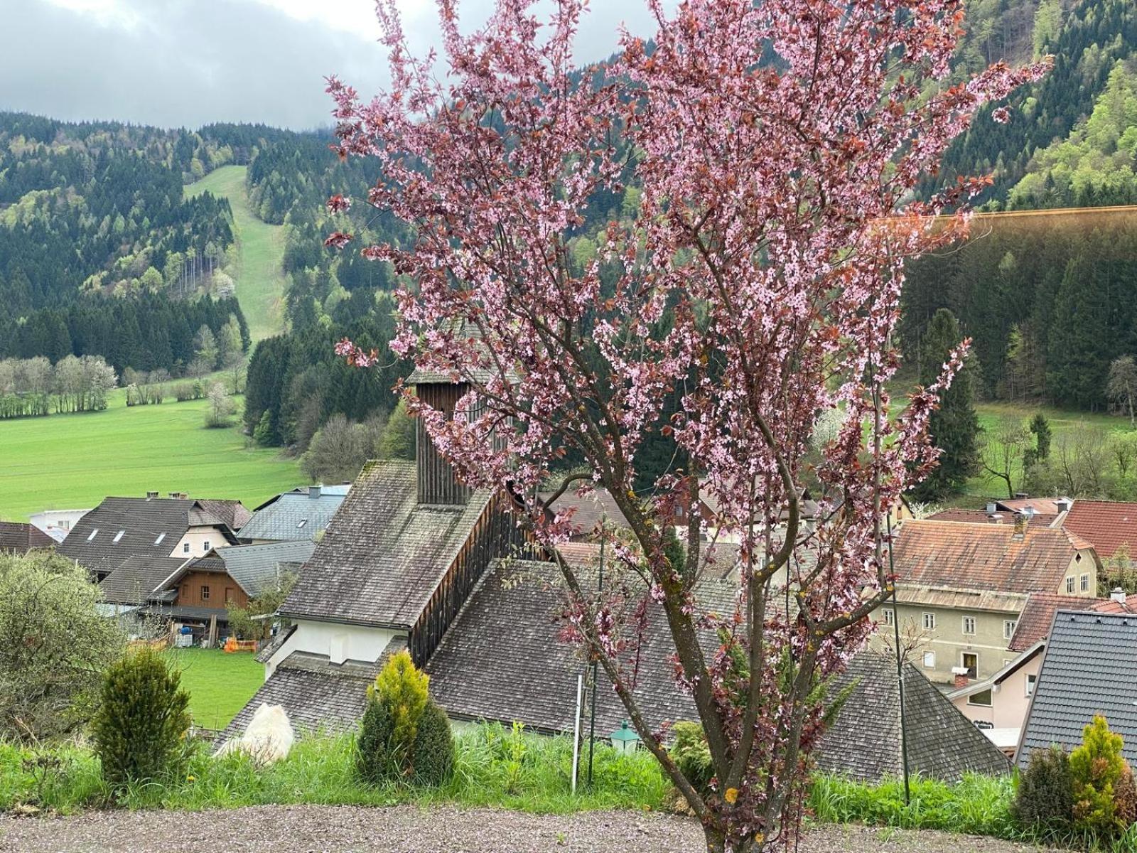 Ferienhaus Kramser Arnoldstein Extérieur photo